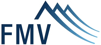 logo fmv